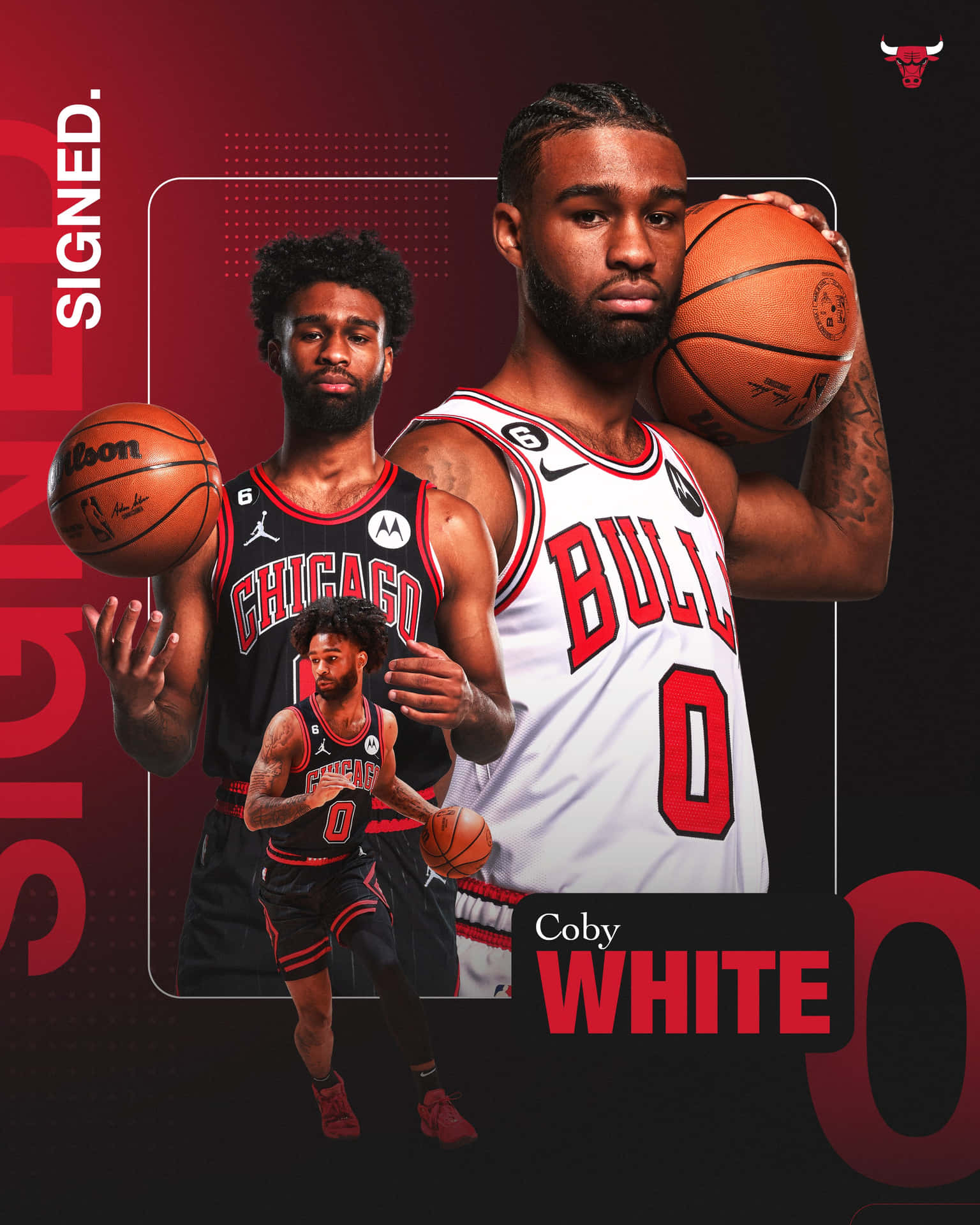 Coby White Chicago Bulls Signed Promotion Wallpaper