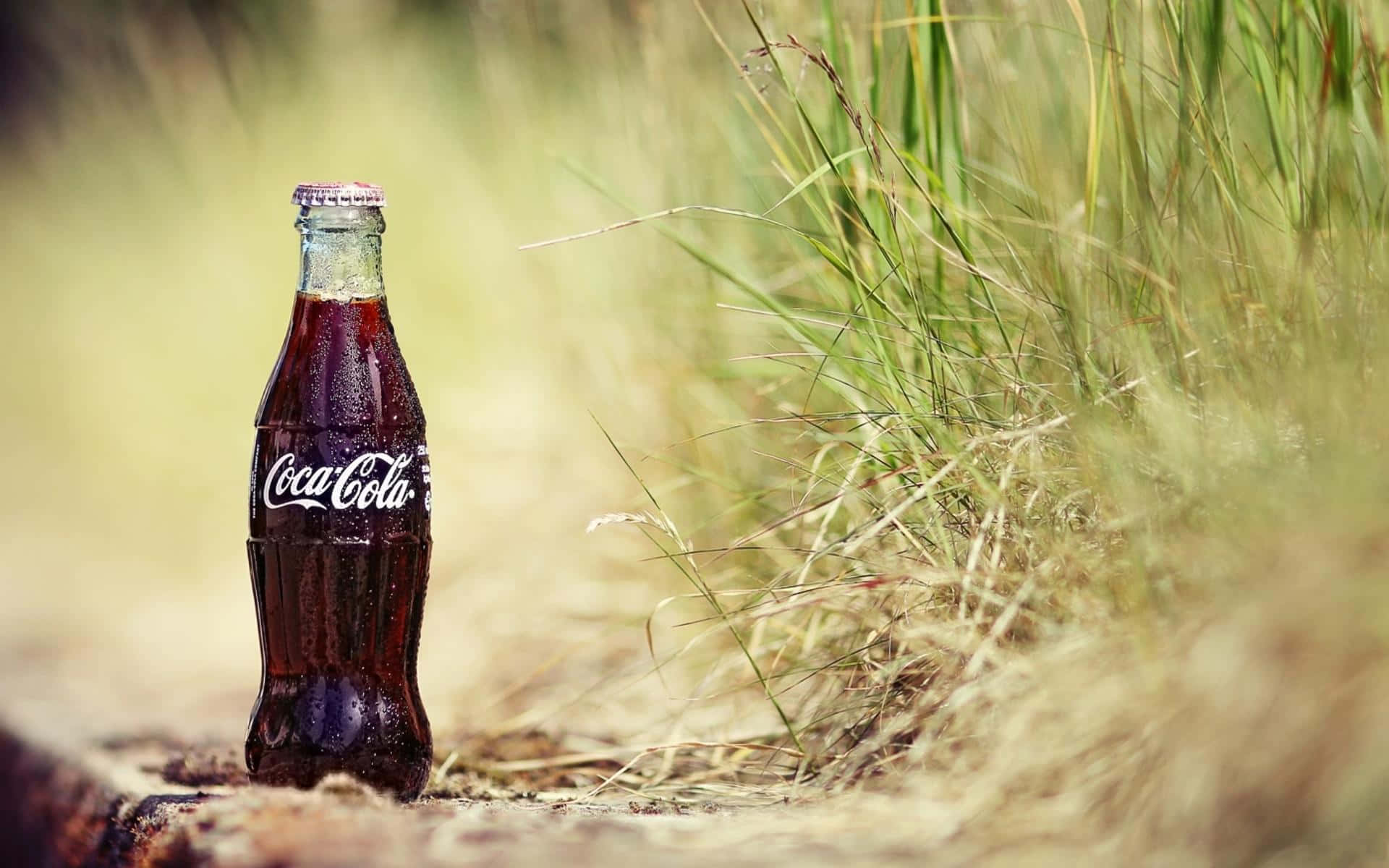 Vibrant Picture of a Coca-Cola Can