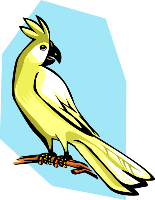 Cockatoo Cartoon Illustration PNG