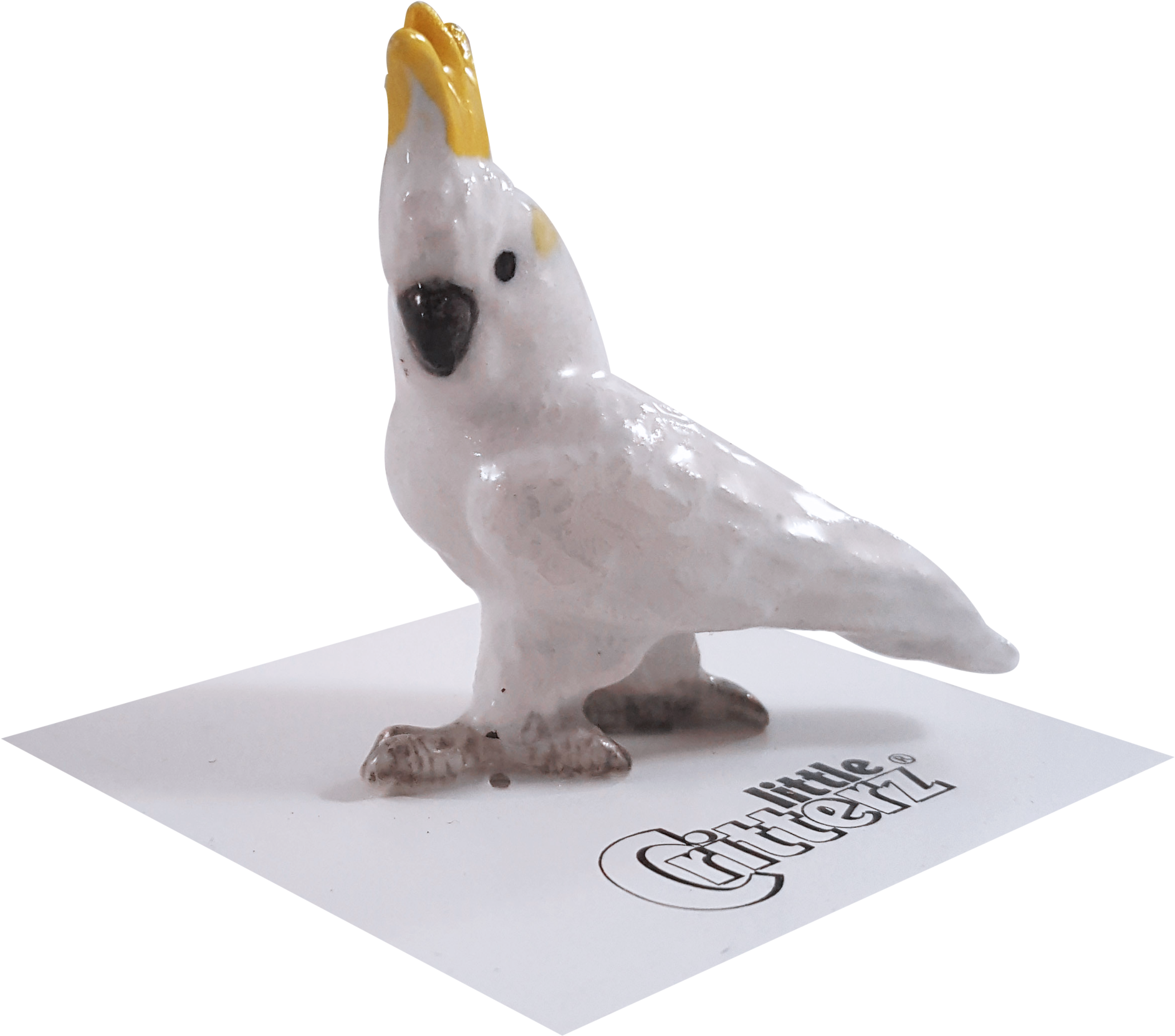 Cockatoo Figurineon Display PNG