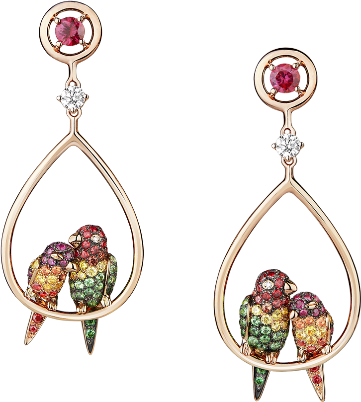 Cockatoo Gemstone Earrings PNG