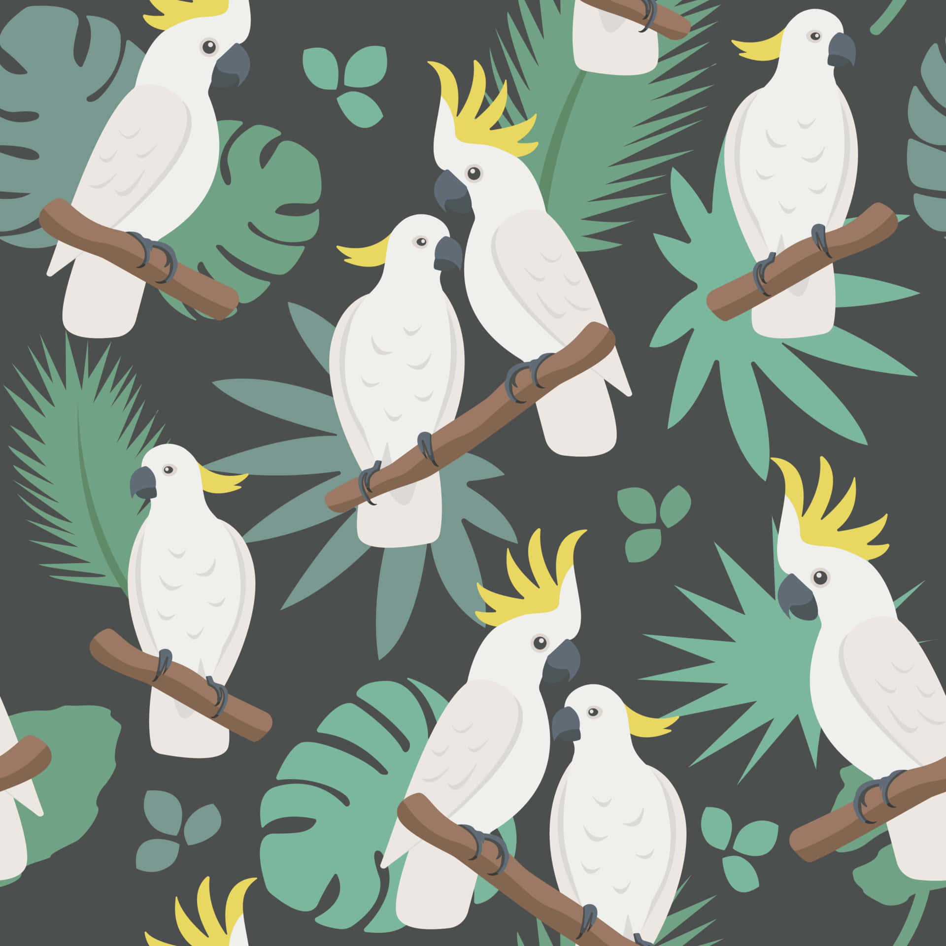Cockatoo Pattern Background Wallpaper