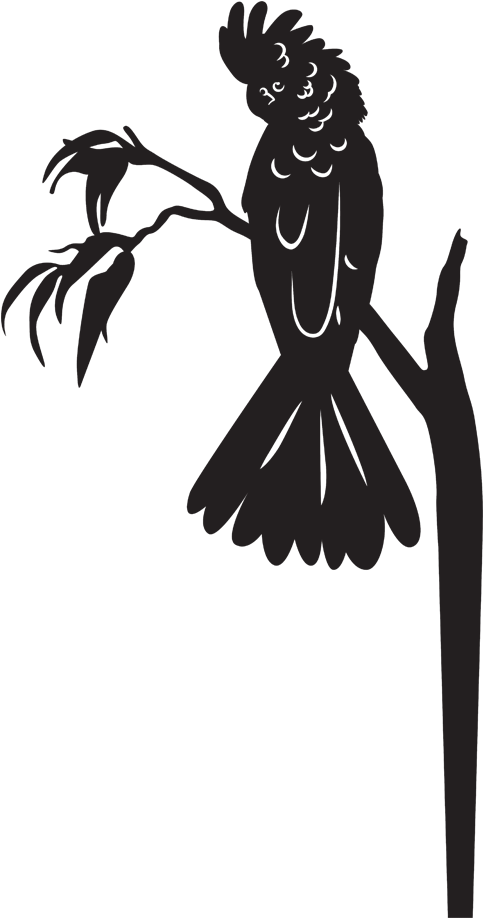 Cockatoo Silhouetteon Branch PNG