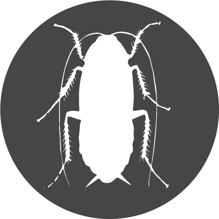 Cockroach Silhouette Graphic PNG