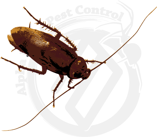Cockroachon Pest Control Logo PNG