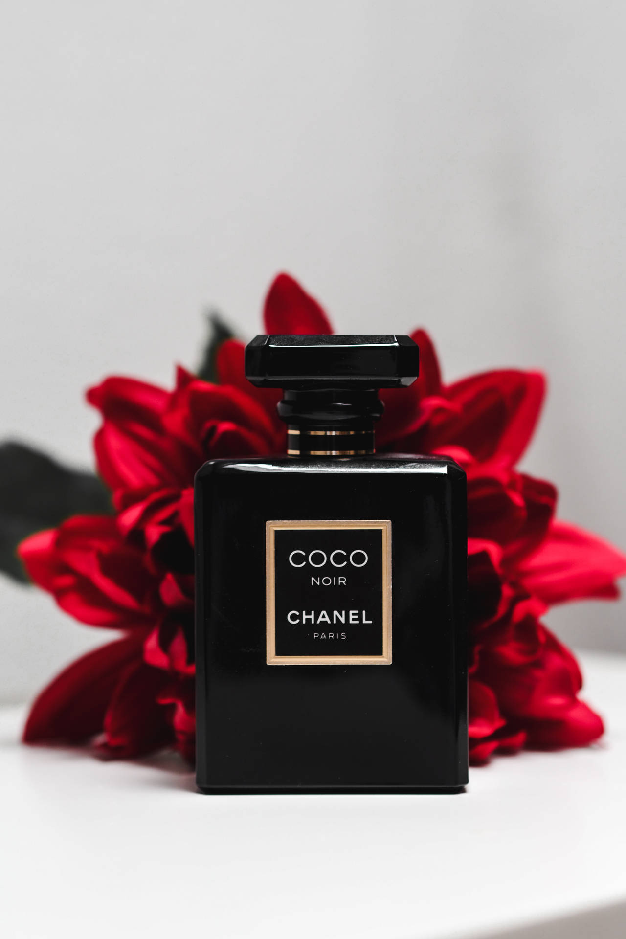 Coco Noir Chanel Red Flower Wallpaper