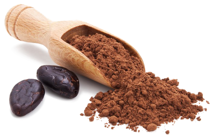 Cocoa Beansand Powder PNG