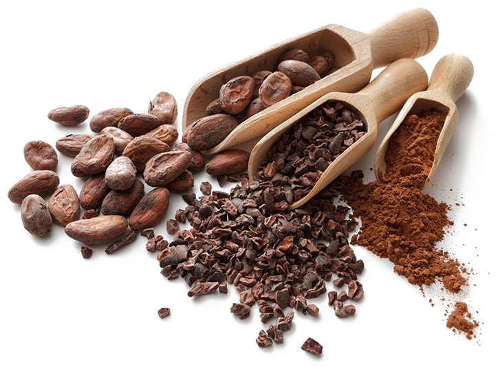 Cocoa Beansand Products PNG
