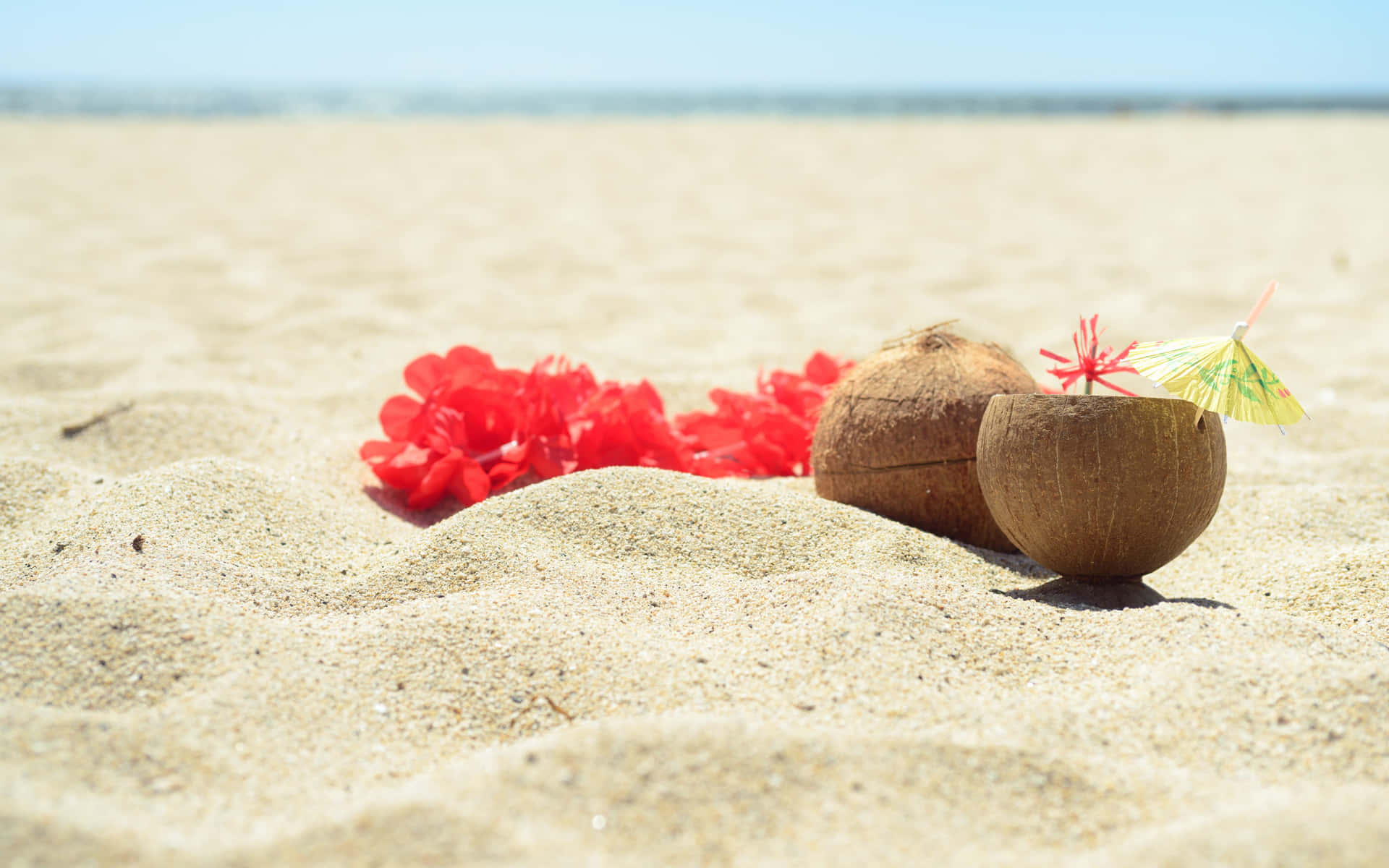 A Coconut And A Flower In The Sand