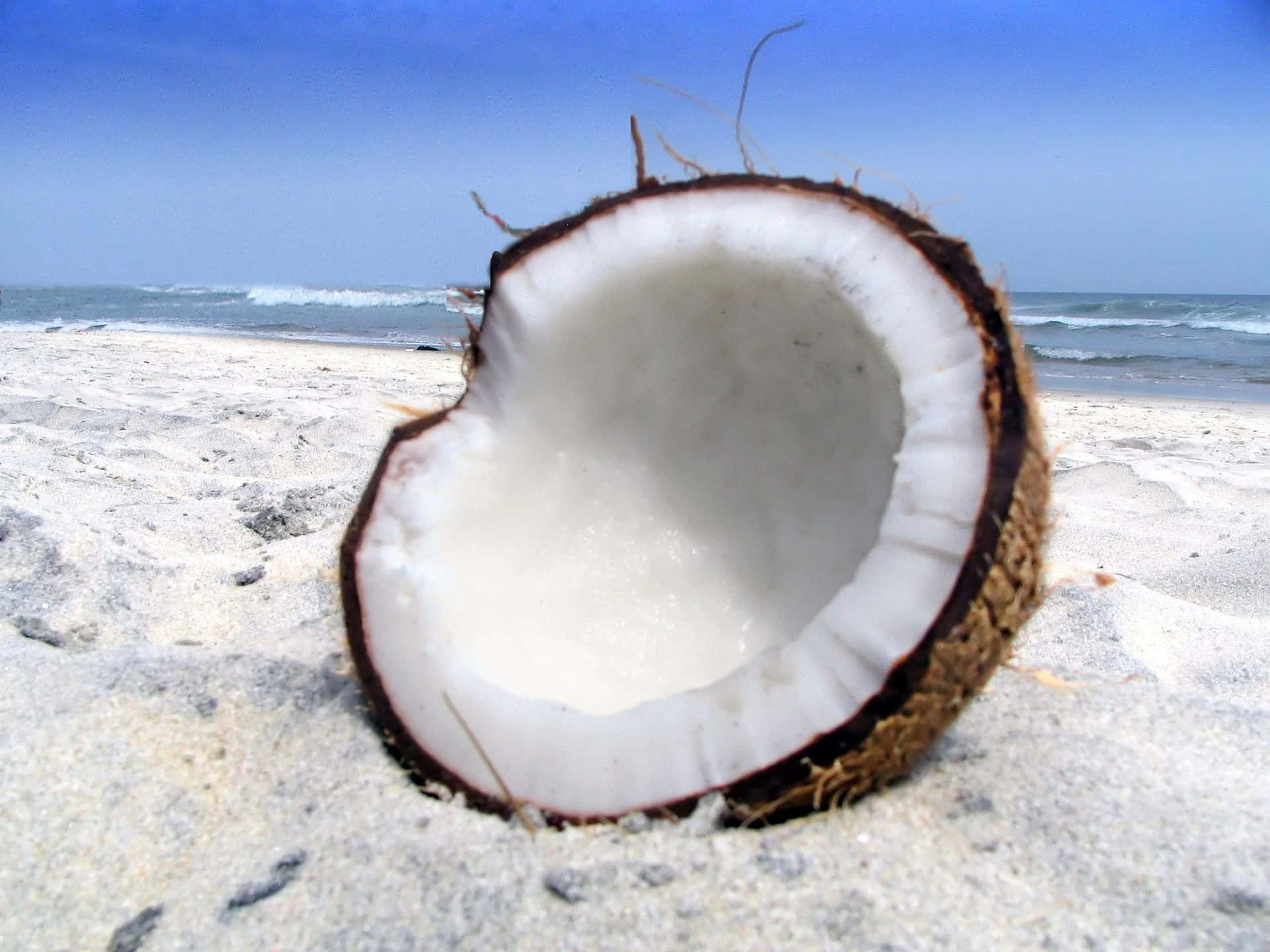 Etsmukt Billede Af En Tropisk Kokospalme.