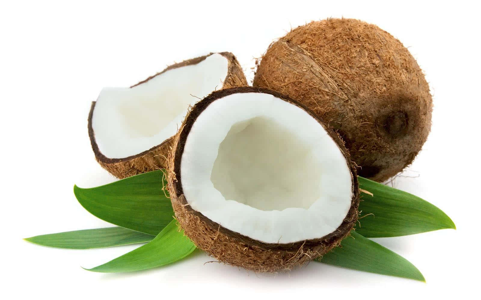 Coconuts With Leaves On A White Background