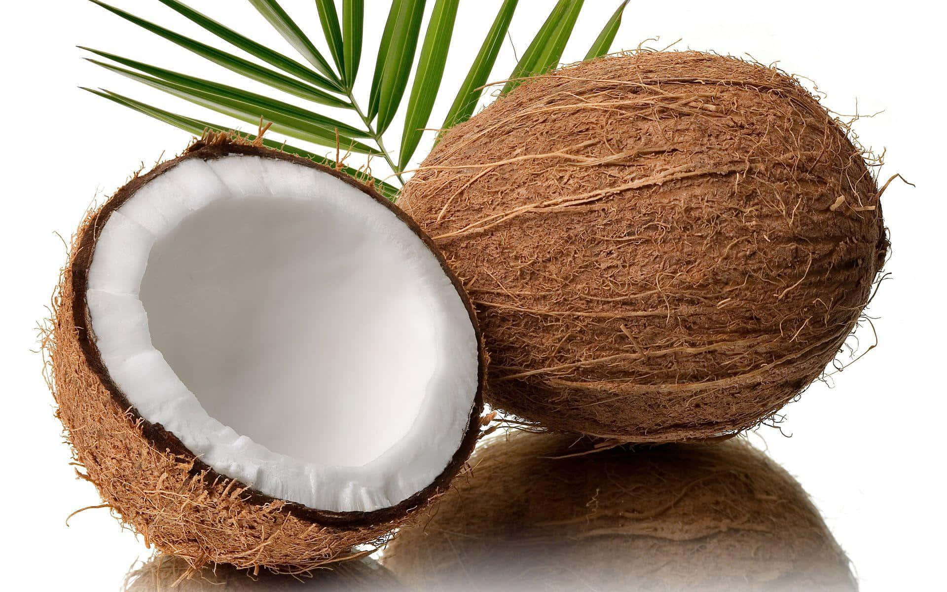 Coconut Oil - The Best Oil For Hair