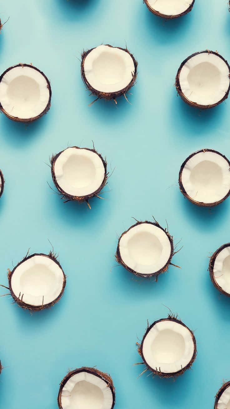 Coconut Halves Pattern Aqua Background Wallpaper