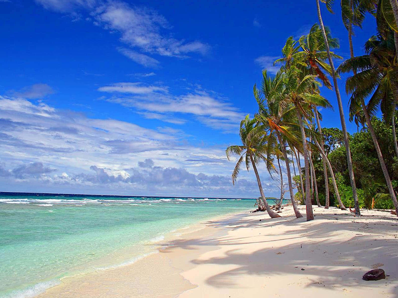 Palmerasde Coco En La Playa De Kiribati. Fondo de pantalla