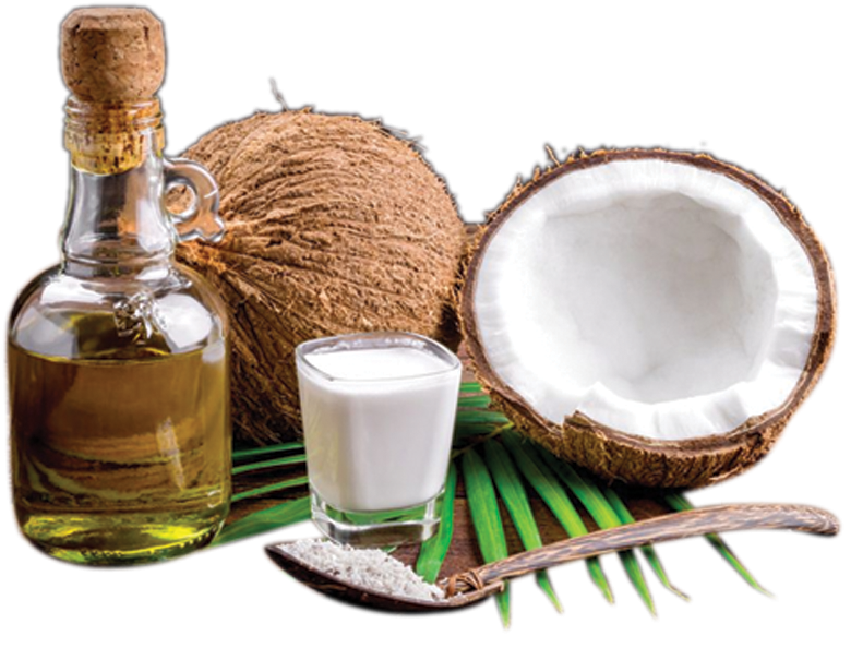 Coconut Products Display PNG