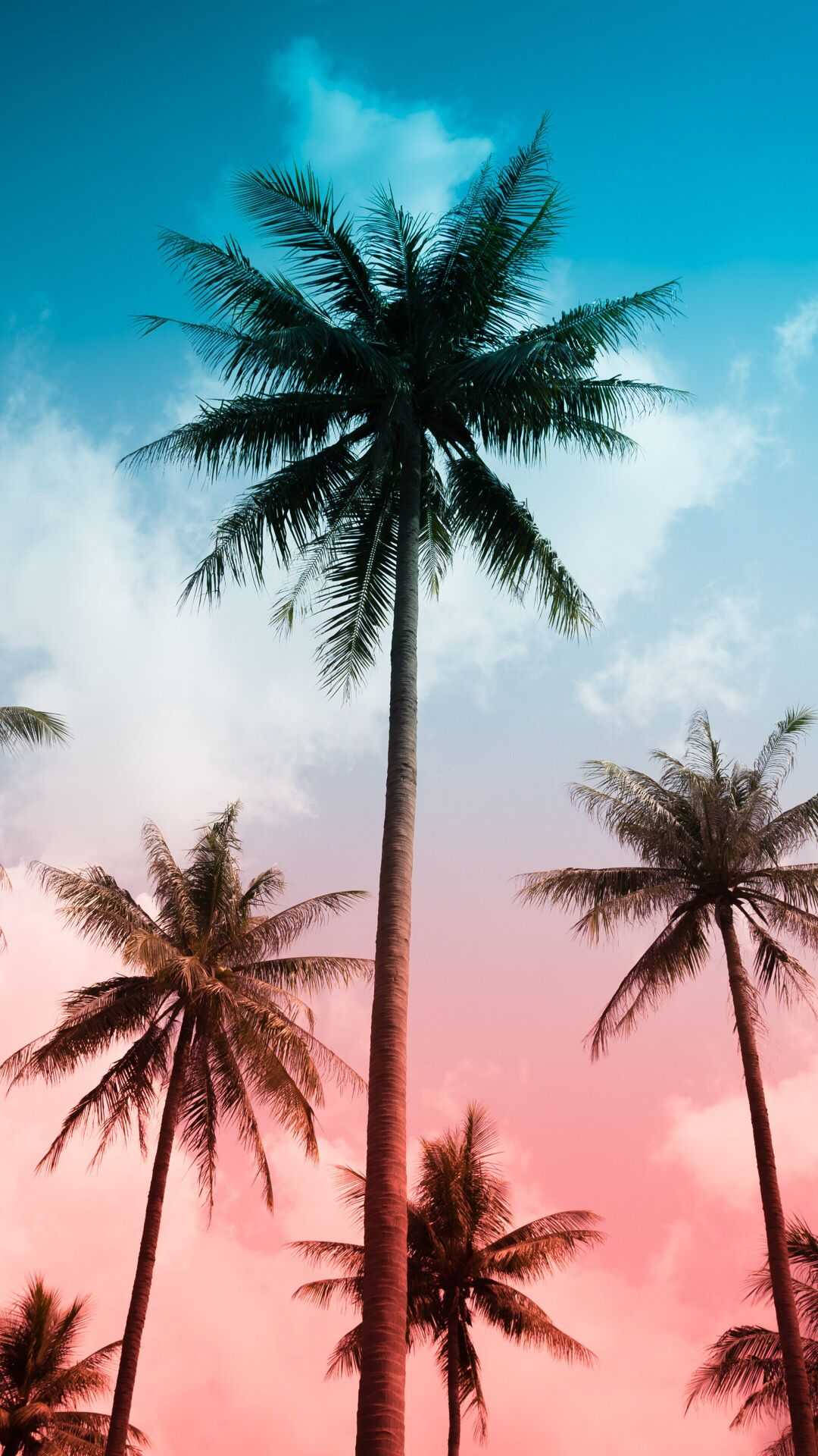 Coconut Summer Vibes Wallpaper