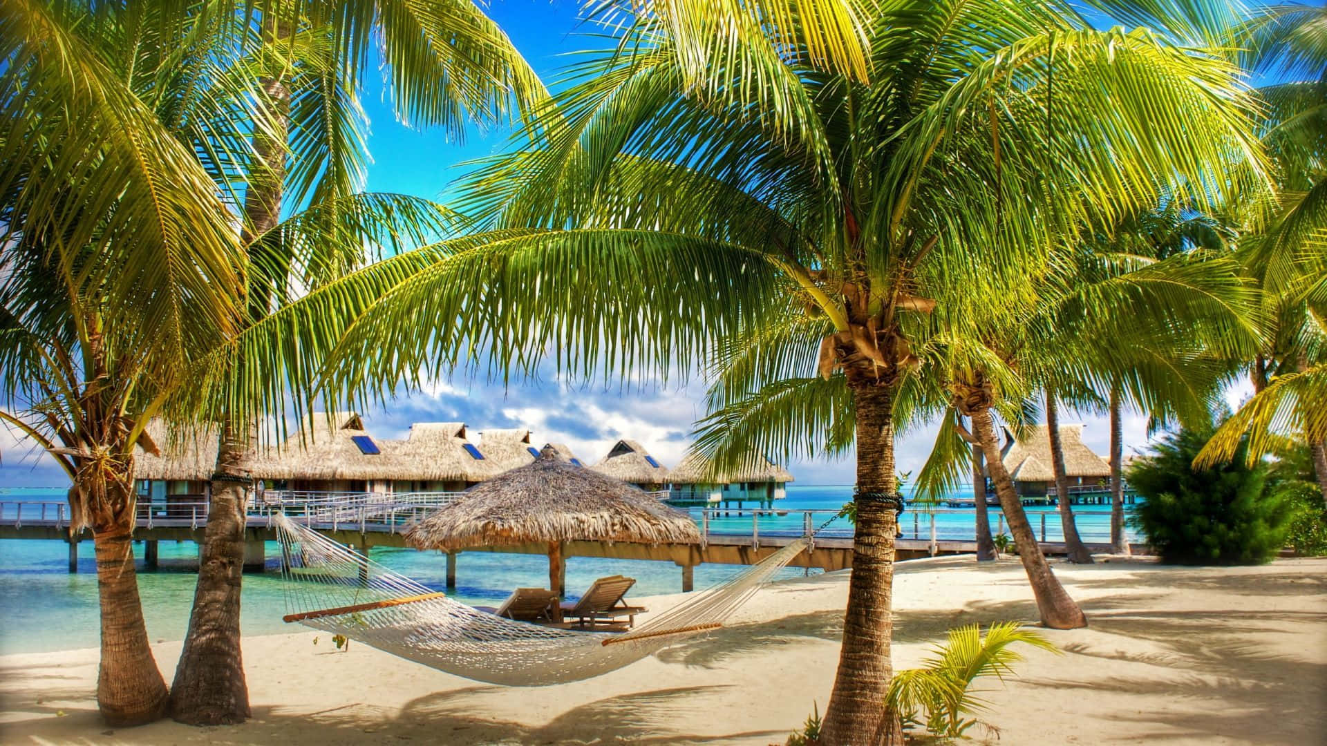 Imagenapacible De Una Playa Tranquila, Con Una Palmera Que Se Balancea Y Un Mar Vasto.