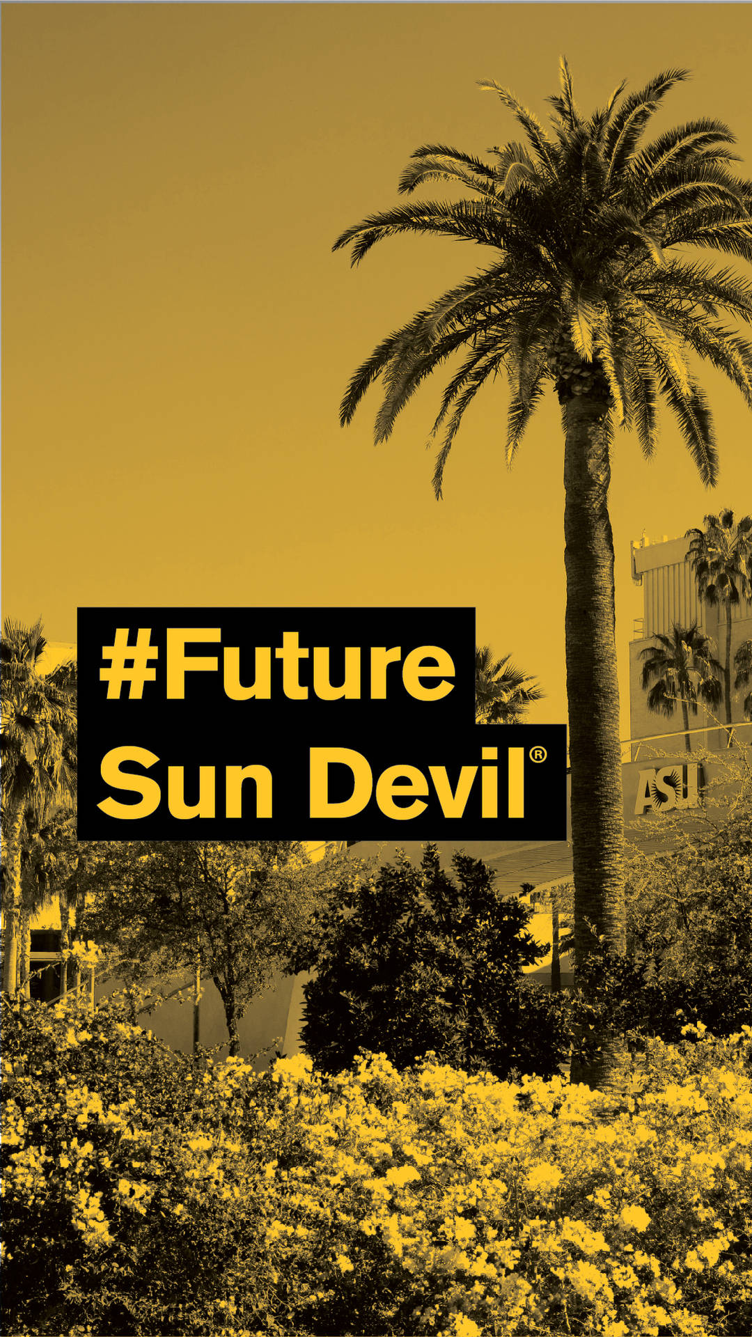 Coconut Tree Future Sun Devil Arizona State University Wallpaper