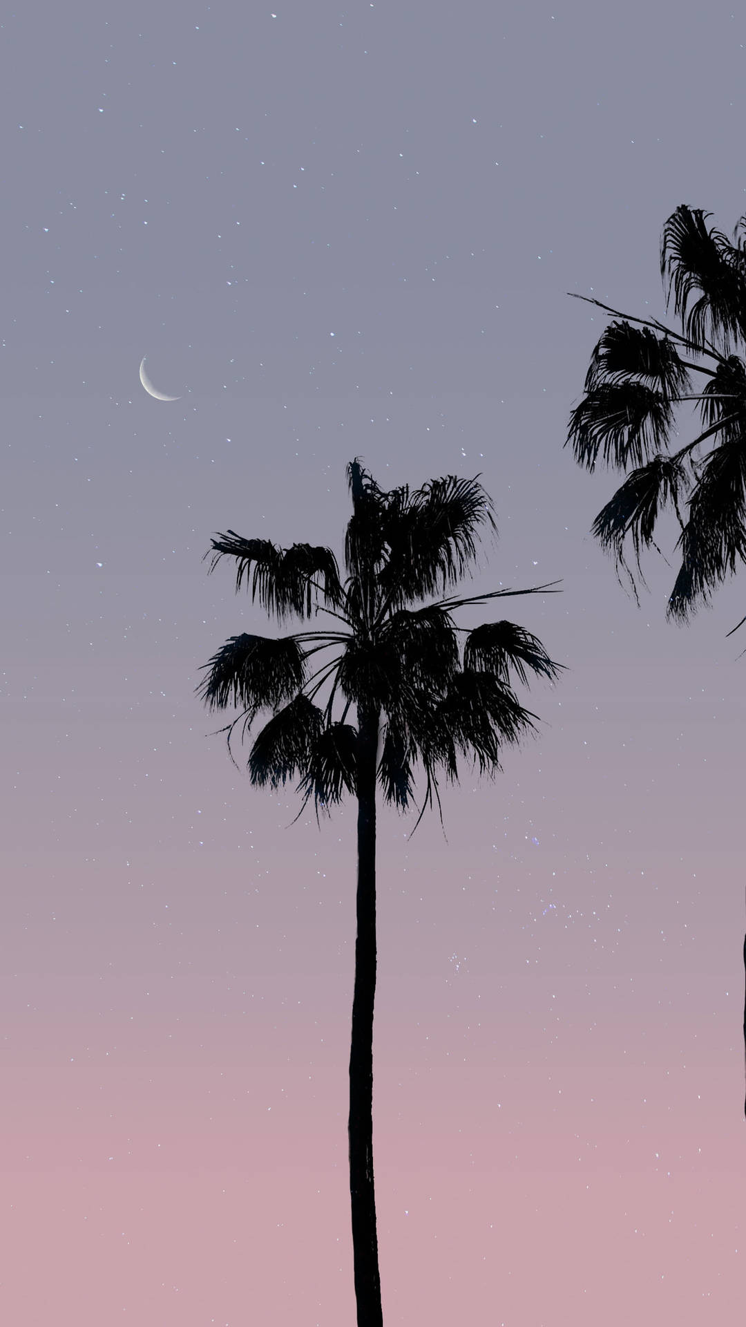 Coconut Tree Silhouette Under The Luna Wallpaper