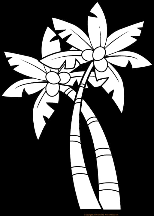 Coconut Trees Blackand White Illustration PNG