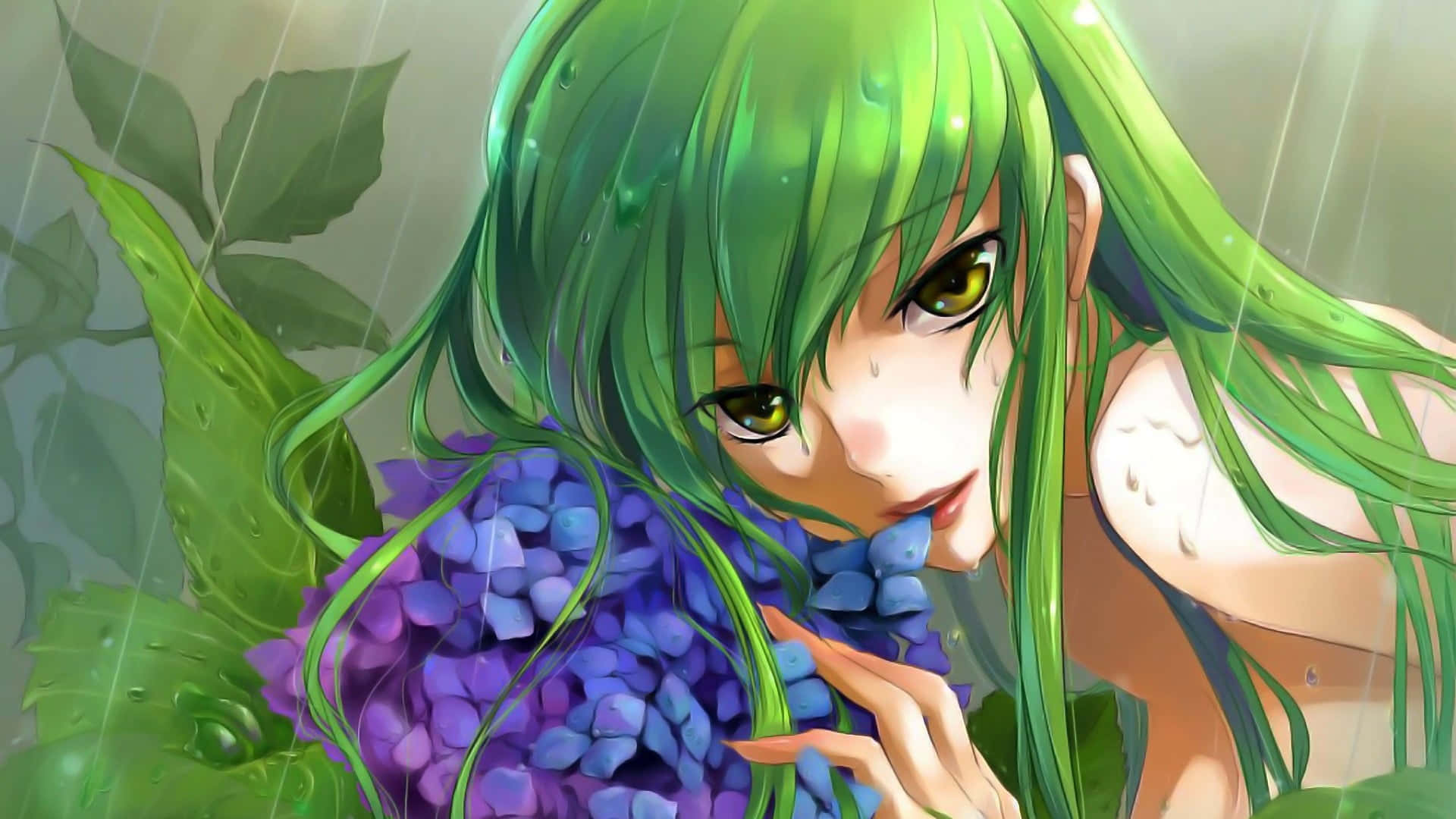 C.C, cute, code geass, cc, anime girl, sexy, green hair, HD wallpaper