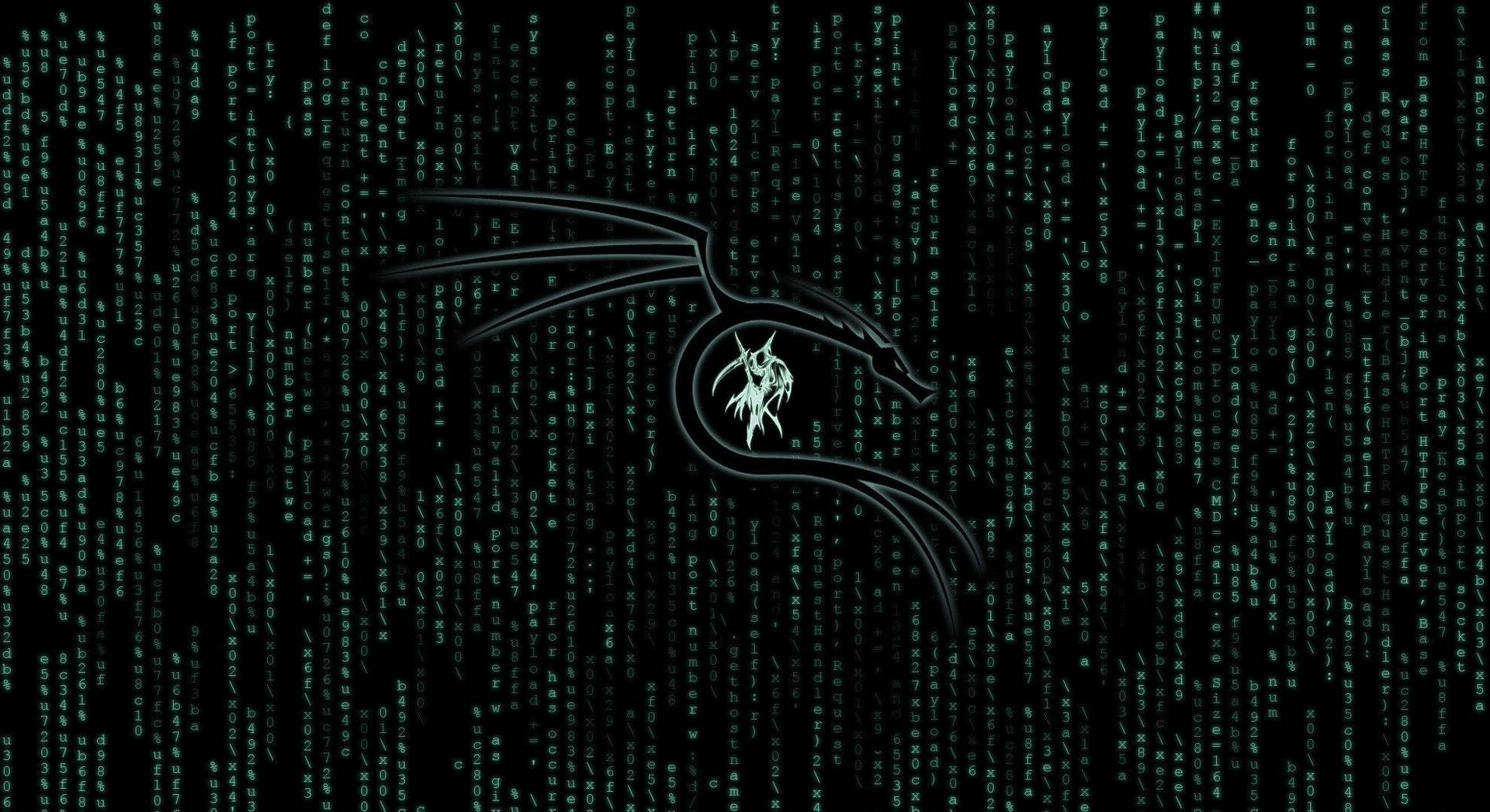Codes Of Kali Linux Background