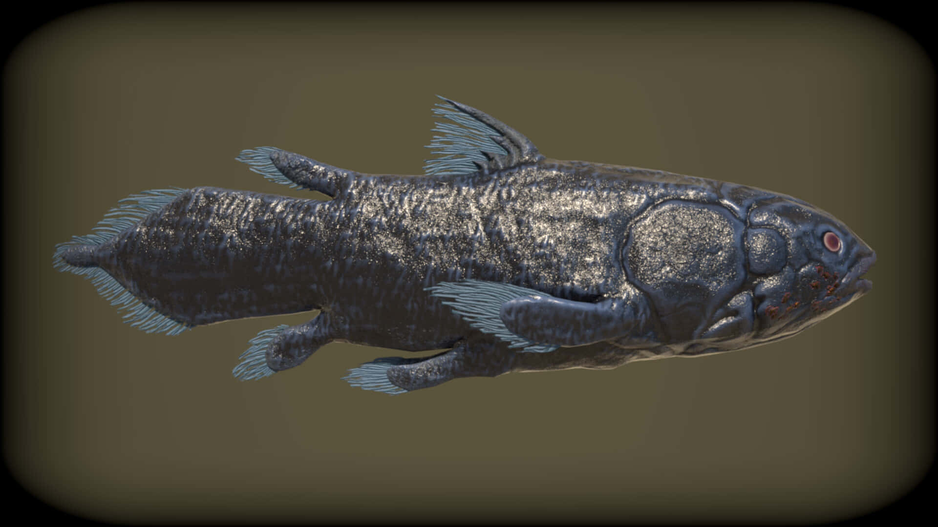 Coelacanth Ancient Fish Species Wallpaper