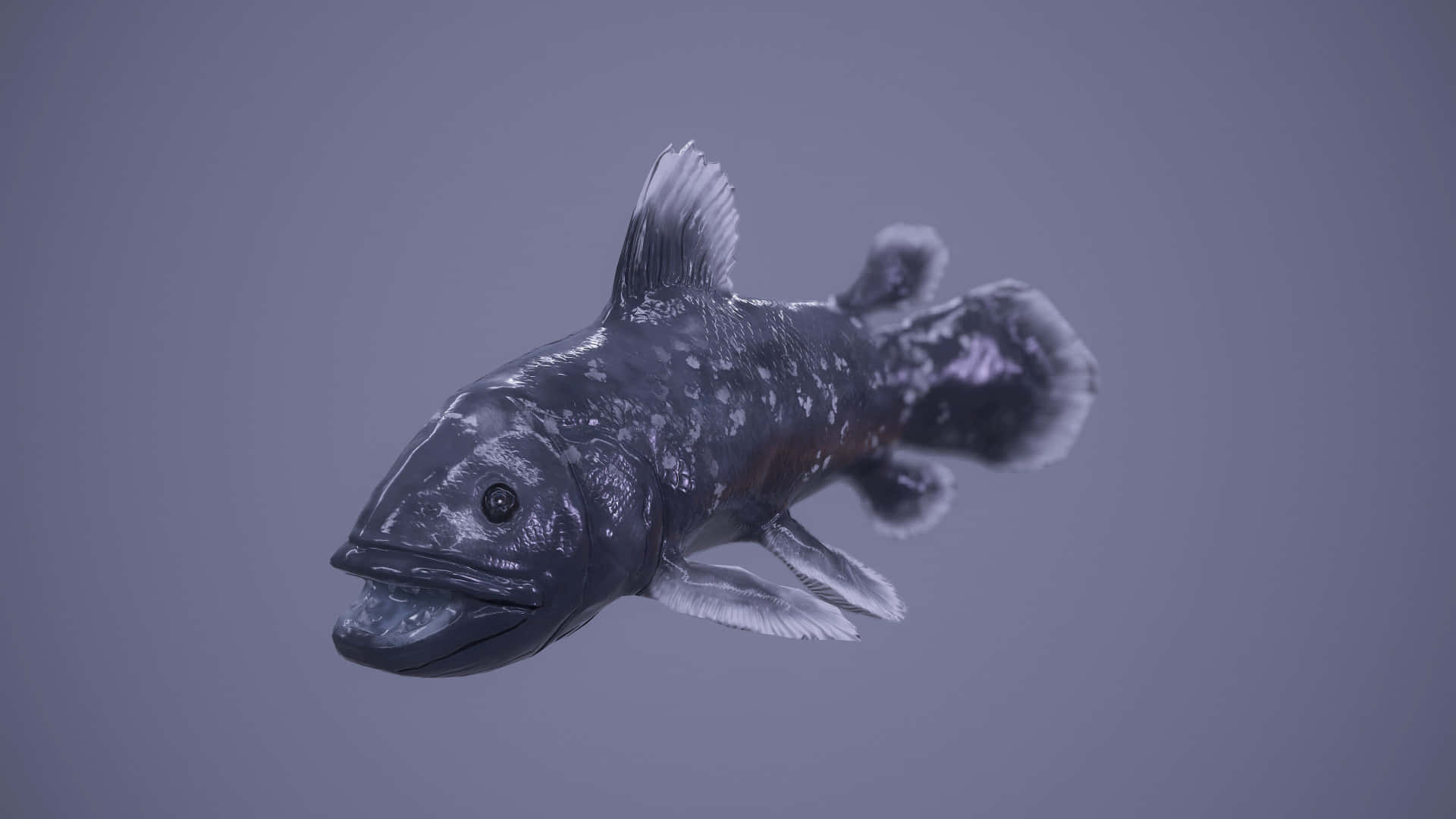 Coelacanth Fish Underwater Wallpaper
