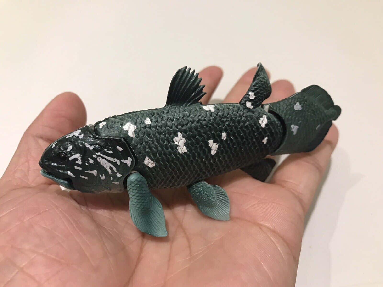 Coelacanth Modelin Hand Wallpaper