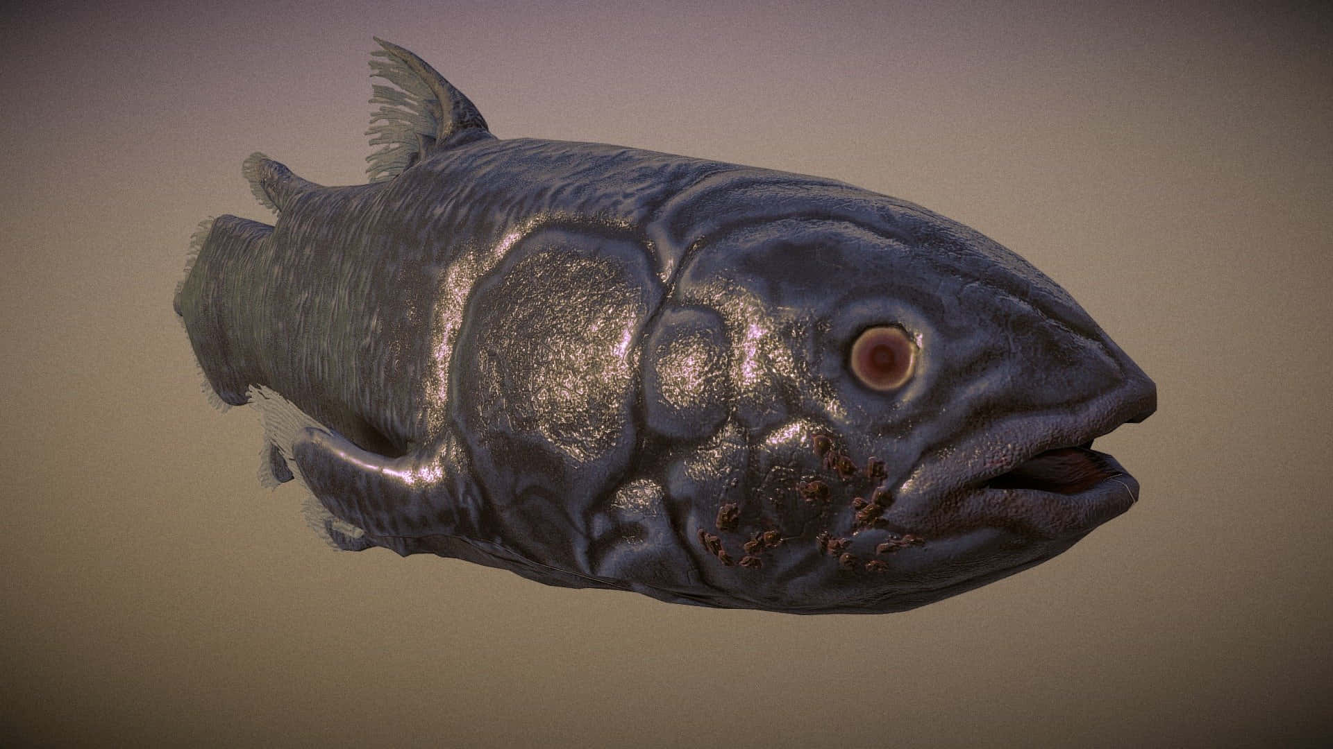 Coelacanth Side View Wallpaper