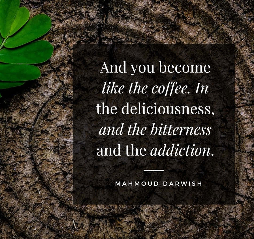 Coffee Addiction Poetry Quote Mahmoud Darwish Wallpaper