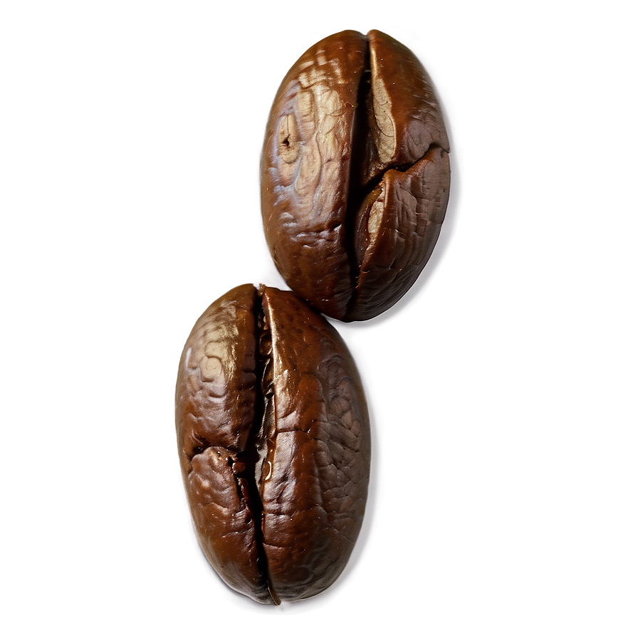 Coffee Bean Closeup Png Dgq PNG