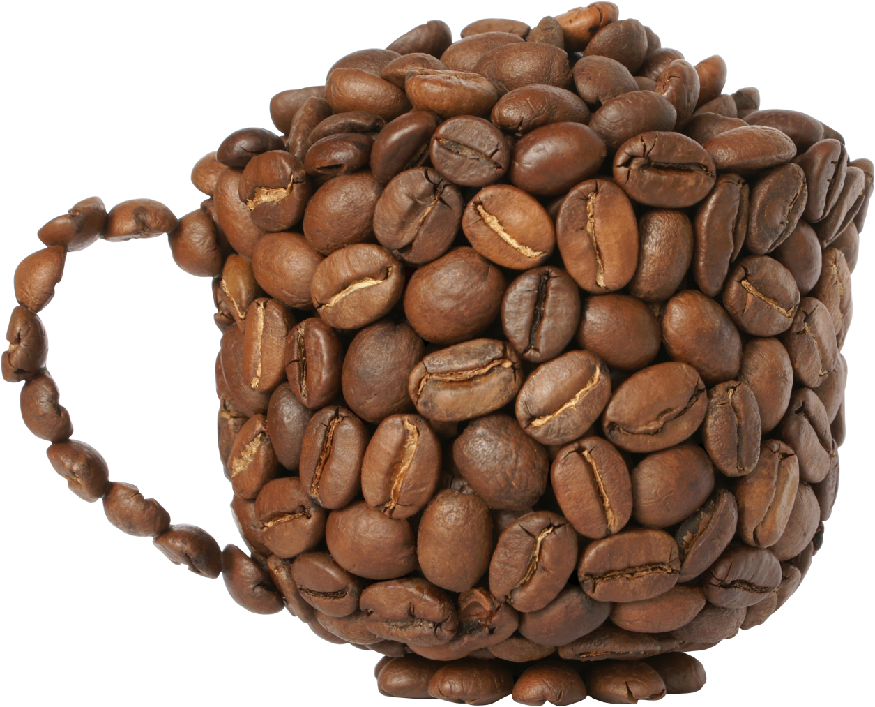 Coffee Bean Cup Design PNG