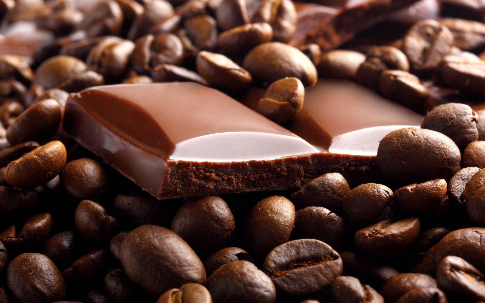 Coffee Beans And Chocolate Bars Picture