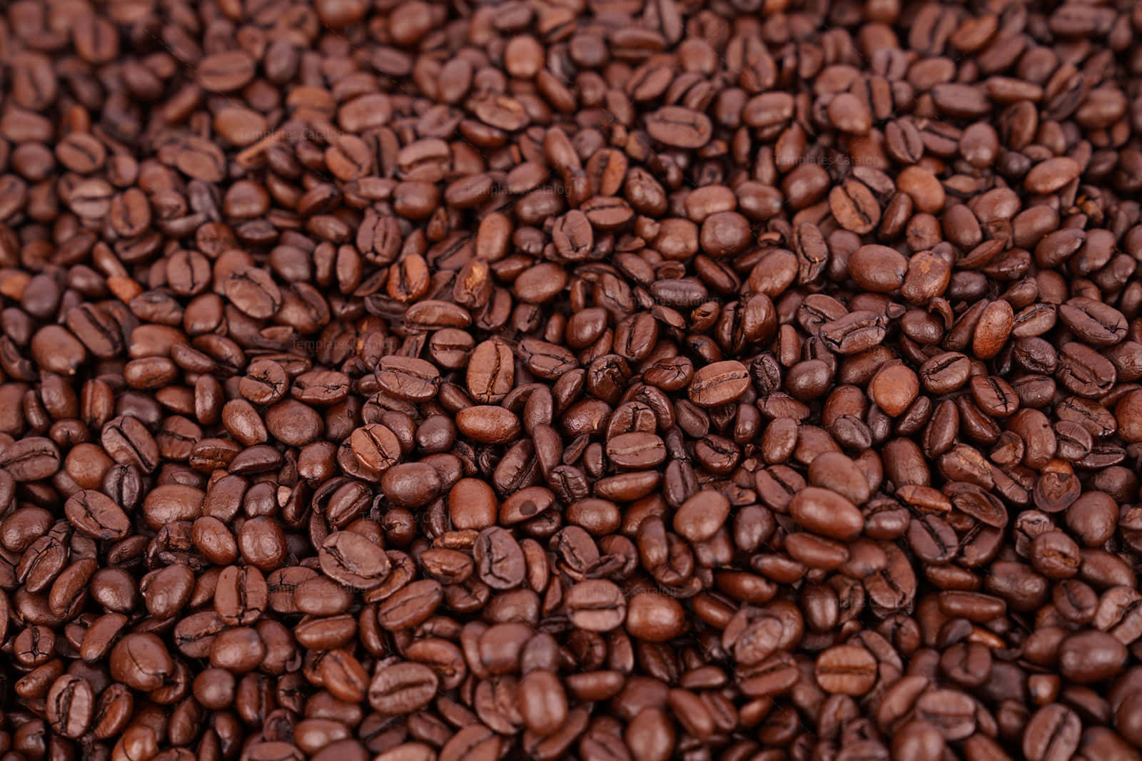 Freshly roasted coffee beans give off a delicious aroma.