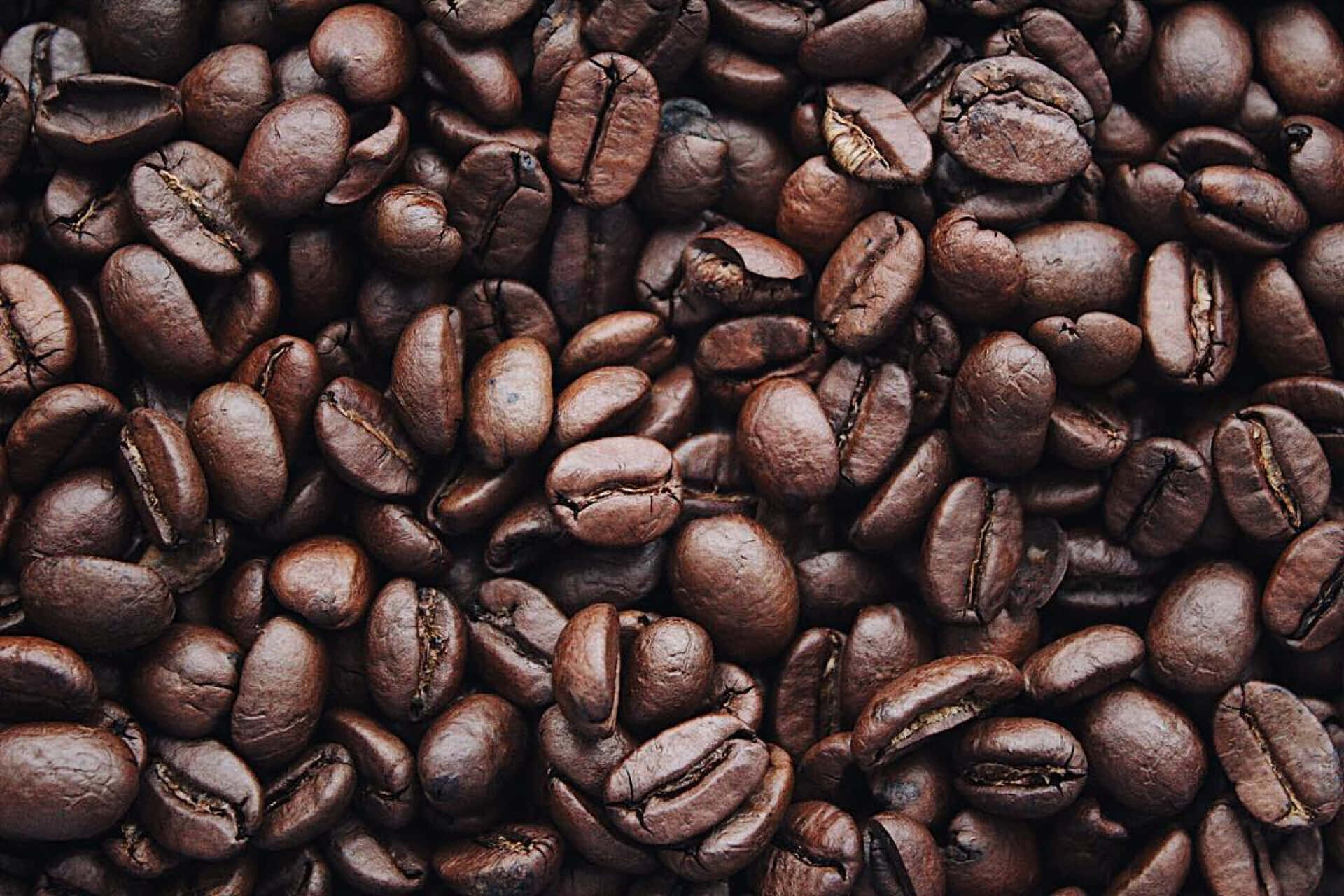 Take a Sip of Freshly Roasted Coffee Beans