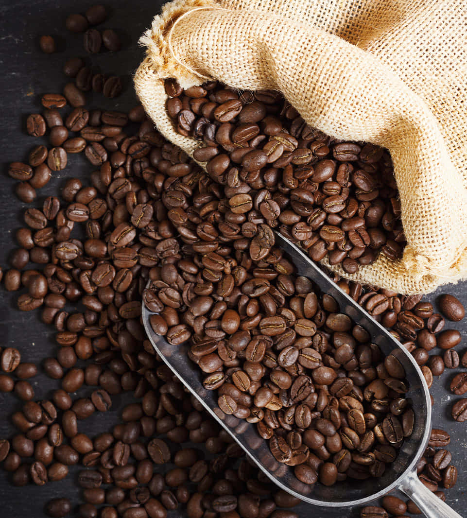 Aromatic and Nutty - Pile of Fresh Coffee Beans