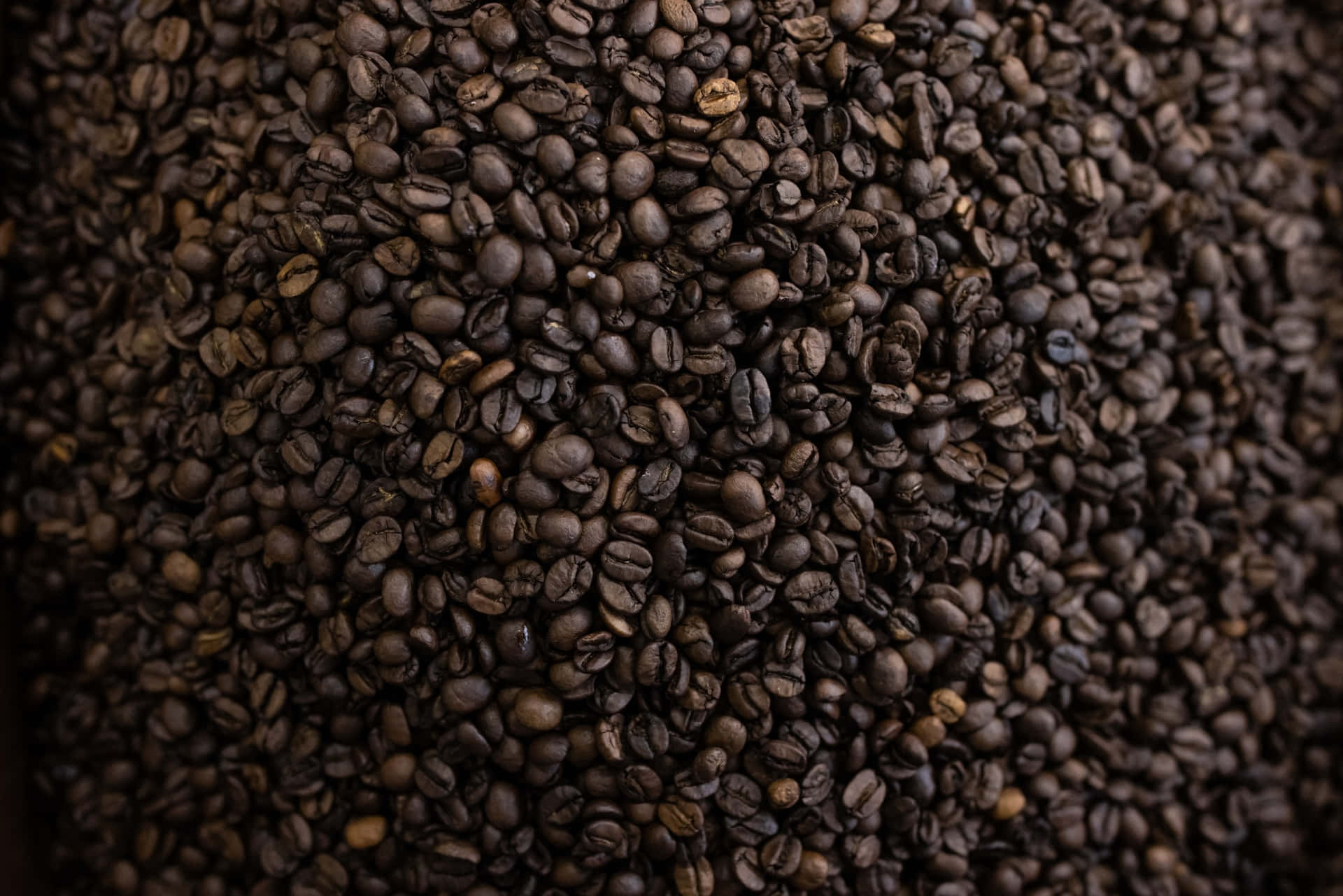 The Aroma of Coffee Beans
