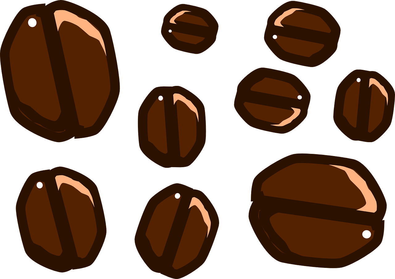 Coffee Beans Illustration PNG