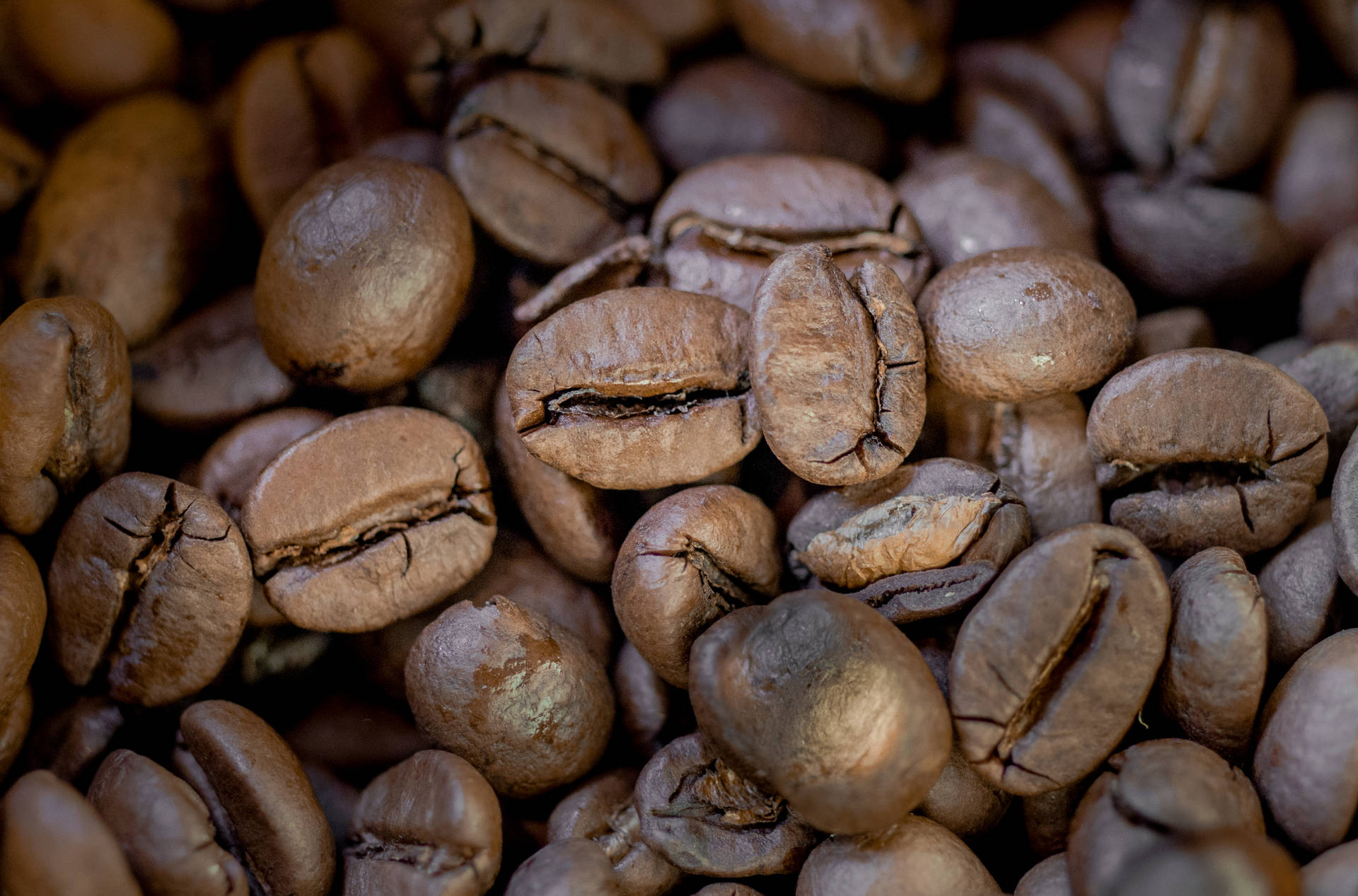 Coffee Beans In Macro Wallpaper