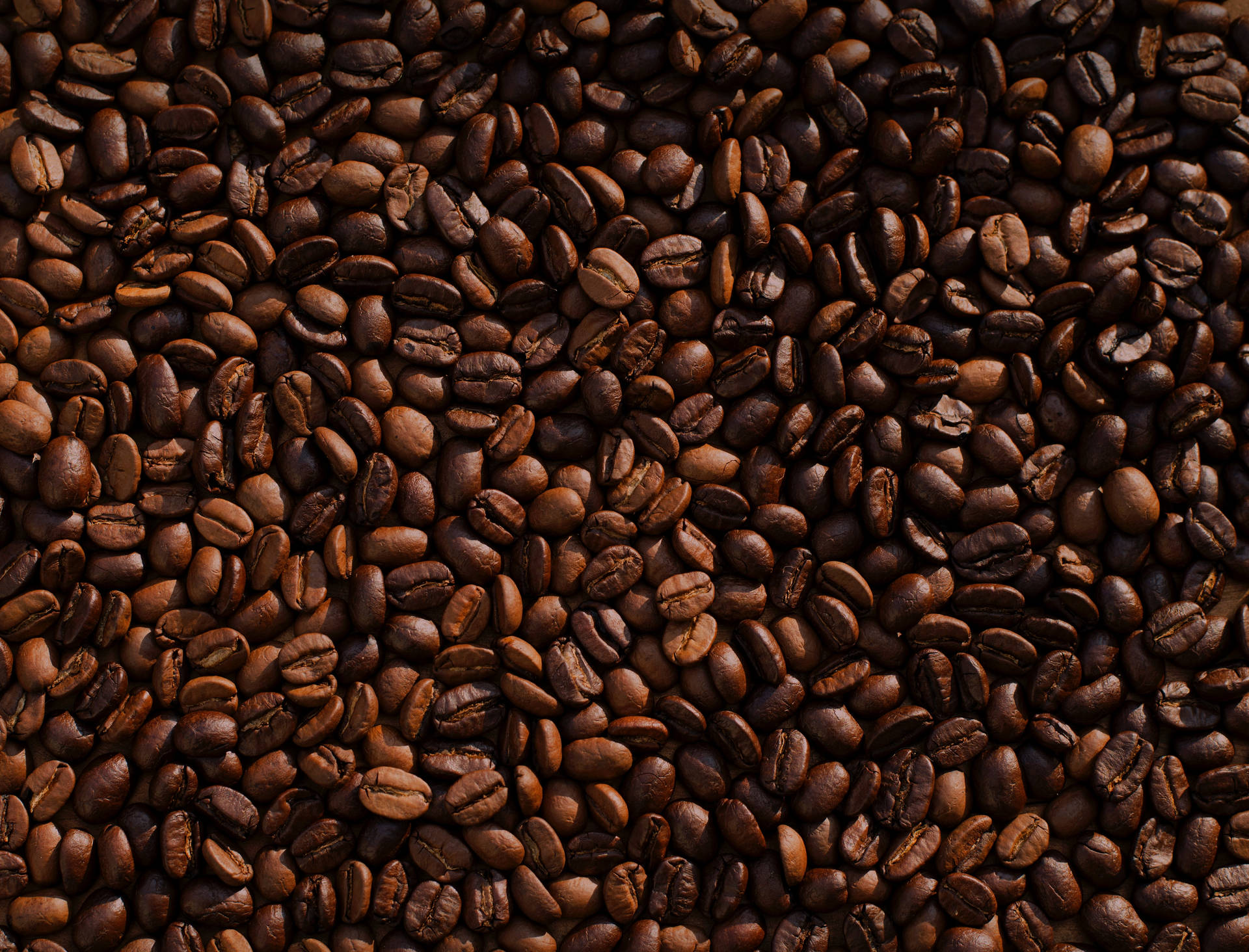 Refreshing aroma of coffee beans Wallpaper