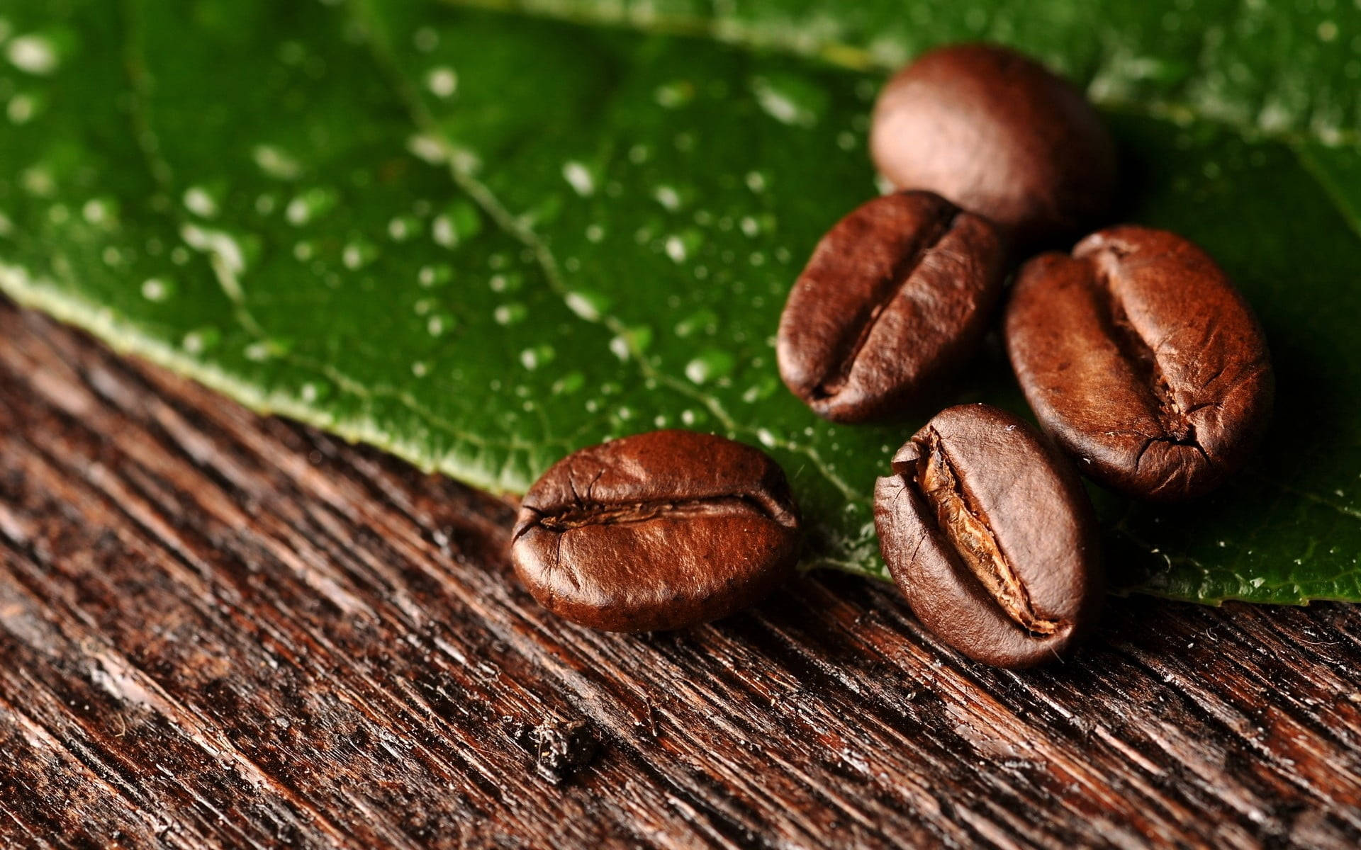 Coffee Beans On Leaf Picture