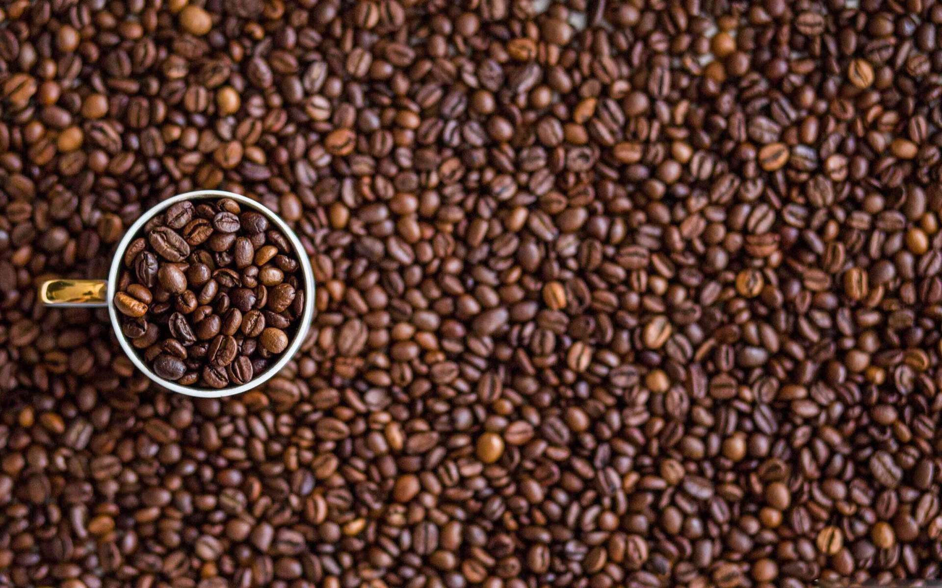 Coffee Beans On Mug Background