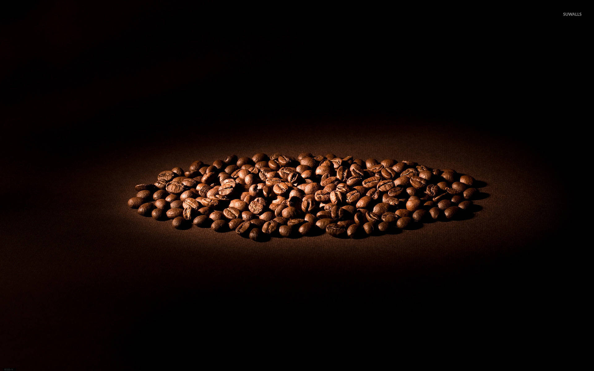 Coffee Beans Spotlight Wallpaper