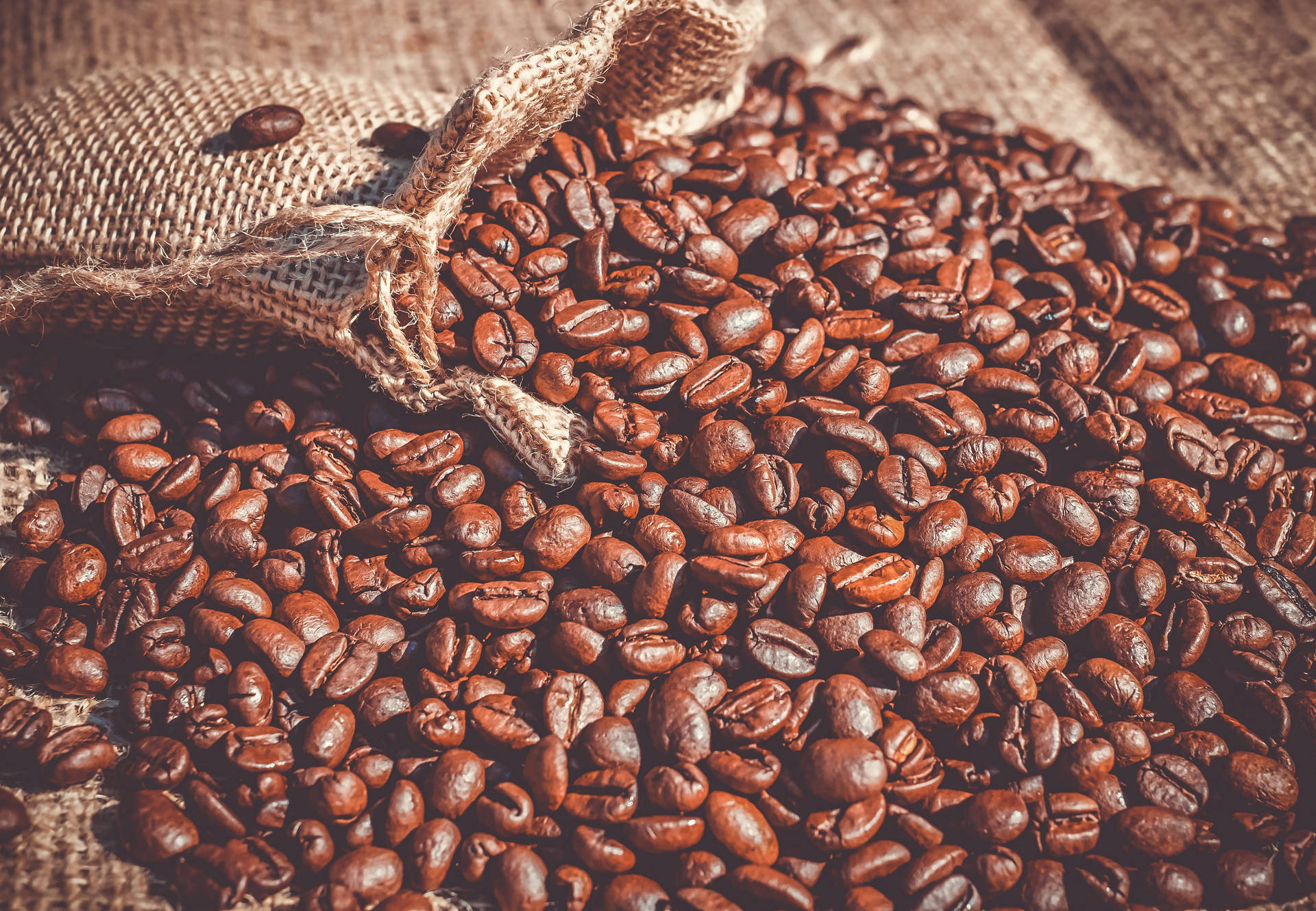 Coffee Beans Sunlight Wallpaper
