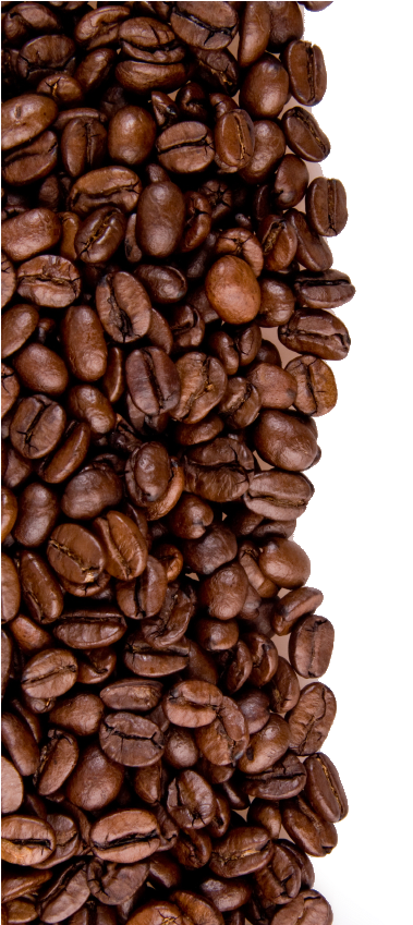 Coffee Beans Texture Background PNG