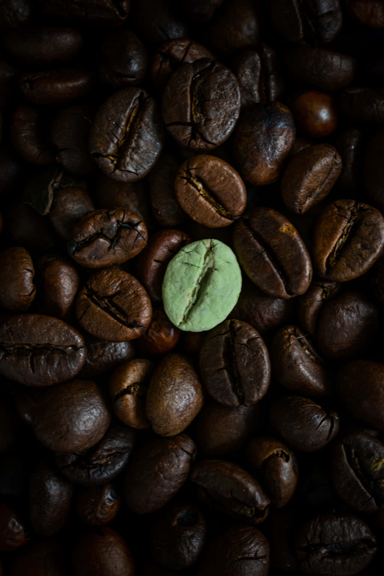 Coffee Beans With A Green Conspicuous Bean Wallpaper