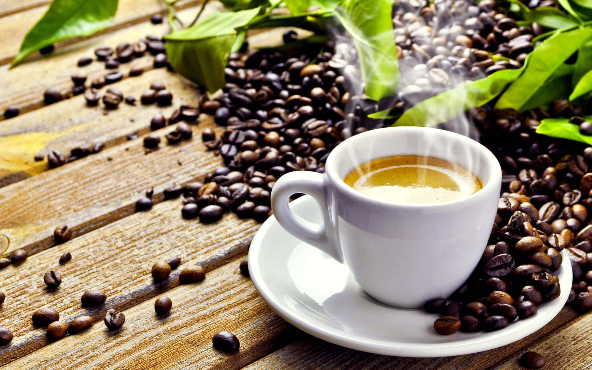 "Fill up your morning with the aroma of freshly brewed coffee"