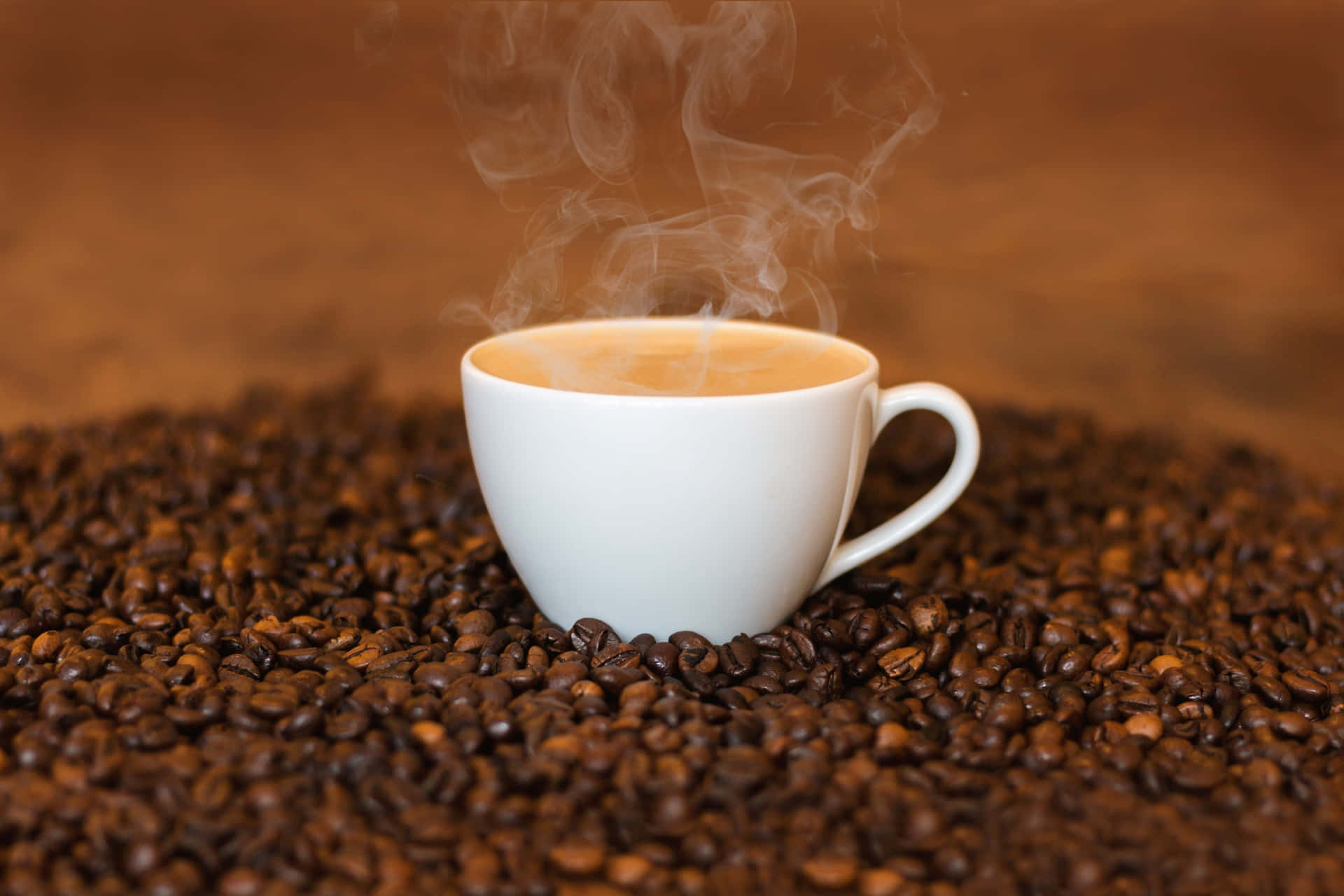 Image  A hot cup of coffee to start your day