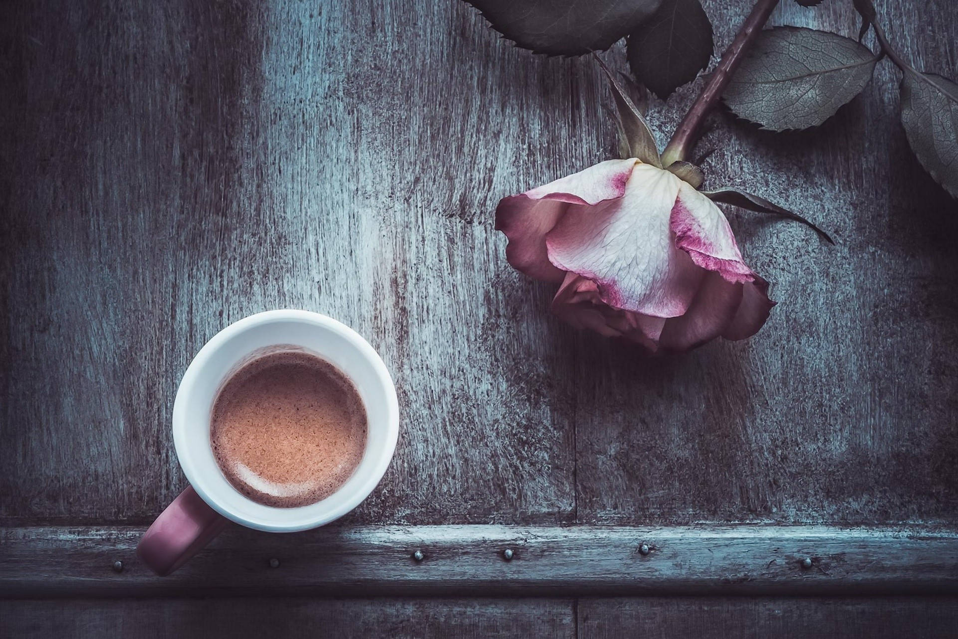 Coffee Cup And A Rose Picture